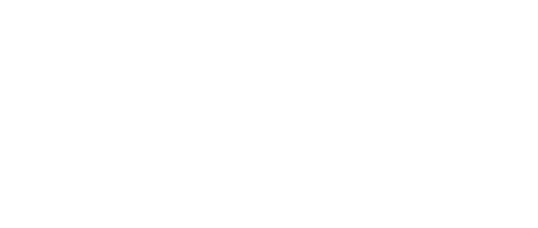 BIOS Lighting logo