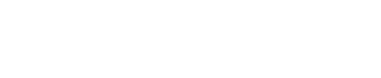 Electric Mirror logo